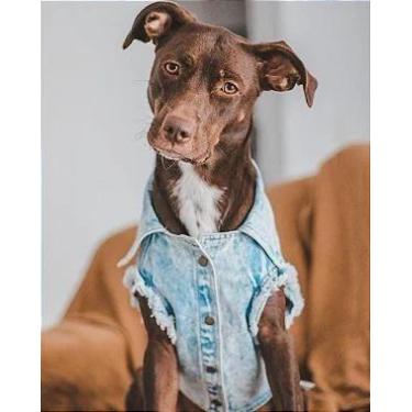 Imagem de Jaqueta Jeans Destroyed para Cachorro - BenDog, TAM 1