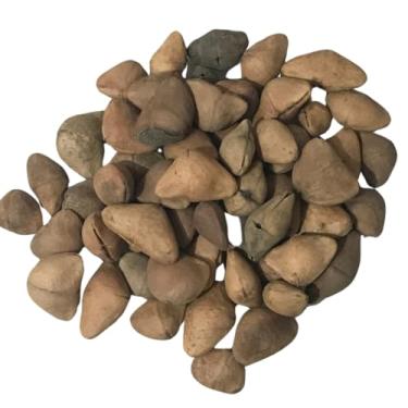 Imagem de Semente Chapéu de Napoleão 500Gr