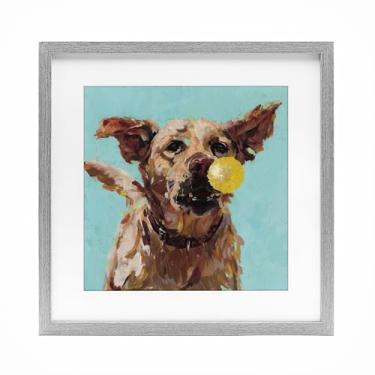 Imagem de Stupell Industries Impressão emoldurada cinza de cachorro brincando com bola sob vidro, design por Studio Bautista, 13 x 13