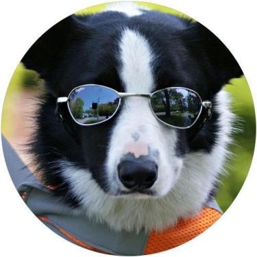 Imagem de Capa De Estepe Ecosport Aircross Dog De Estimação