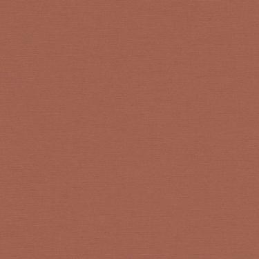 Imagem de Papel de Parede The Wall 2 Textura Marrom 390978