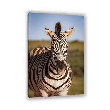 Imagem de SDYJ6GSW Imagens de animais em preto e branco para decoração de parede, imagens de animais selvagens de zebra, imagem de cavalo, tela, pintura de arte de parede zebra, decoração de parede para sala de