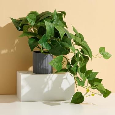 Imagem de Amore Florals Planta Pothos artificial realista – plantas de interior falsas penduradas em vaso, hera do diabo realista para decoração de escritório em casa, sem manutenção, vasos de plantas falsas
