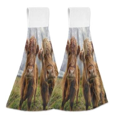 Imagem de Joitme Cute Highland Cows Toalhas de mão penduradas com laço, pacote com 2 toalhas absorventes de lã coral de poliéster macio para cozinha e banheiro