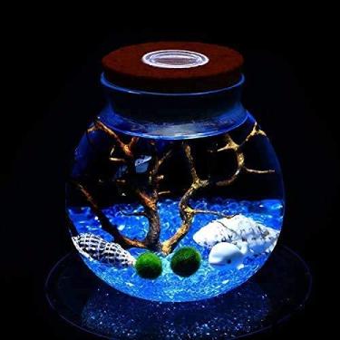 Imagem de Ecosides Kit de LED para aquário marimo, luz noturna LED criativa micro paisagem garrafa ecológica frasco de vidro para terrário, com bolas de musgo vivas, seixos, concha, coral de leque preto, presente para Natal, evento de casamento