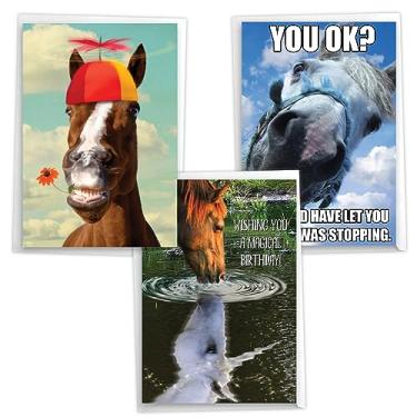 Imagem de NobleWorks Pacote sortido de 3 cartões de aniversário histéricos com envelopes (3 designs, 1 cada) Horsing Around VC10014BDG-C1x3