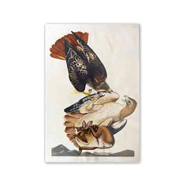 Imagem de JZSDGB John James Audubon Famous Paintings Reproduction'Red-Tailed Hawk.'Impressão giclée em tela - Pôsteres e impressões de animais - Arte de parede em tela para decoração de sala de estar Imagem 50