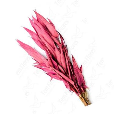 Imagem de Folha Navalha Capim Navalha Buque Flores Secas - Pense Flores, Rosa