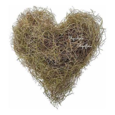 Imagem de Pendente Bromélia Tillandsia Usneoides Musgo Barba De Velho - Orquiflo