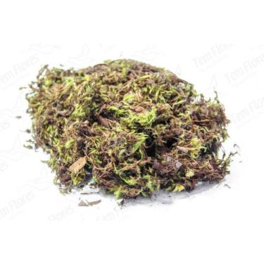 Imagem de Musgo Verde Pc 2 Lts Para Orquideas e Decoração Substrato - Tem Flores