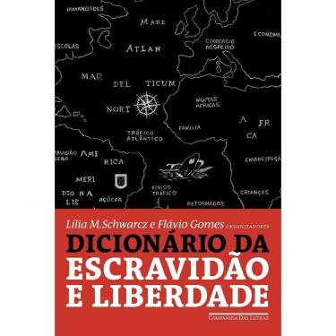 Imagem de Dicionário da Escravidão e da Liberdade