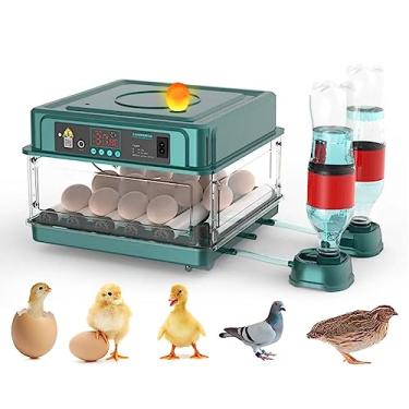 Imagem de APlayfulBee Incubadora Automática de Ovos 12-38 Ovos Máquina de Chocadeira Digital para Aves com Viragem Automática de Ovos, Controle de Temperatura E Umidade, Iluminação Led Eficiente para Galinhas,