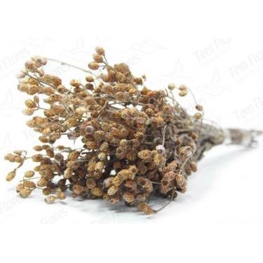 Imagem de Ramo Roxo Flor Desidratada Buque Flores Secas - Pense Flores, Natural