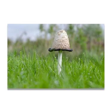 Imagem de Guarda-chuva pequenoFotografia de paisagem de floresta real, impressão em tela de alta resolução, decoração de parede natural para escritório doméstico 30 x 45 cm sem moldura