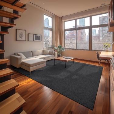 Imagem de Tapete 300x400cm Itapua Master N São Carlos Grafite