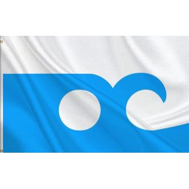 Imagem de HVATLTL Bandeira da cidade do oceano 5 x 8 m, bandeira de poliéster 100D resistente, cores vivas, bandeiras Ocean City Maryland Banners com 2 ilhós de latão para ambientes internos e externos.