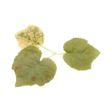 Imagem de Folhas Artificiais Verdes 30-60 Peças Decorações De Plantas Simuladas 