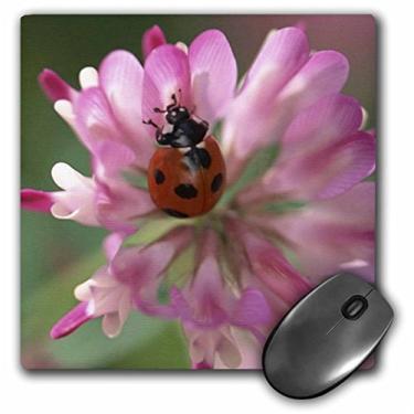 Imagem de 3dRose Mouse pad LLC 20 x 20 x 0,63 cm, Lady Bug (mp_21197_1)