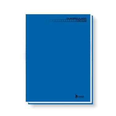 Imagem de Caderno Pedagógico C.D. Brochura 1/4 Quadriculado 1x1cm Azul - Tamoio