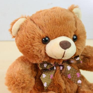Imagem de Ursinho de Pelúcia Com Laço de Poliéster 23 cm