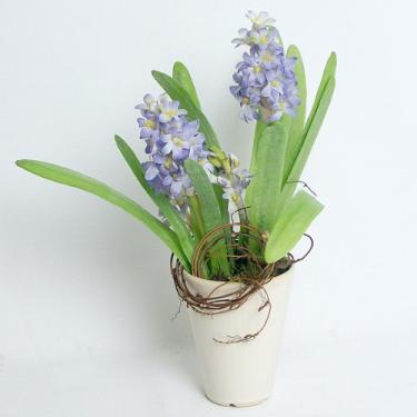 Imagem de Kit Anticoncepcional Singestar König c/ 8 Comprimidos C/ 6 unidades