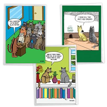 Imagem de NobleWorks 3 pacotes sortidos de cartões de aniversário bem-humorados para homens e mulheres, com envelopes de 12,7 x 17,7 cm (3 designs, 1 cada), Cat Laughs VC2805BDG-C1x3