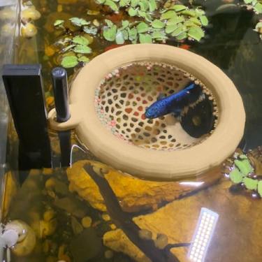 Imagem de HOZOE Base flutuante para aquário de peixes, tocas e rede de betta ou camarão, alimentador de peixe e camarão, acessórios multifuncionais para aquários, local ancorável (madeira)