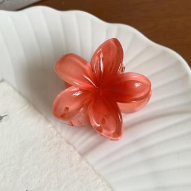 Imagem de Acessórios de cabelo modernos com grampo de flores estilo feriado