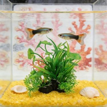 Imagem de 1 peça de aquário de plantas aquáticas artificiais decorativas de algas marinhas artificiais para aquários de algas marinhas, decoração de grama de água falsa, estilo A 11 x 10 cm