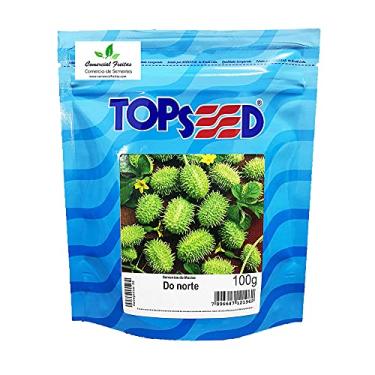 Imagem de Sementes de Maxixe do Norte Pcte C/ 100 Gramas