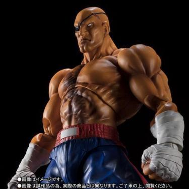 Imagem de Sagat - Street Fighter V - No. 12 - S.H.Figuart - Bandai