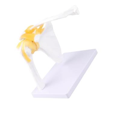 Imagem de Cryfokt Modelo Articulação do Ombro, Modelo de Ombro Flexível PVC Com Ligamentos para Ensino para o Explicação do Paciente para Exibição de