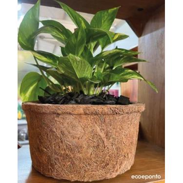 Imagem de Vaso plantas fibra de coco grande - ECOEPONTO