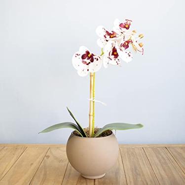 Imagem de Arranjo de Flor Artificial Orquídea Tigre de Silicone no Vaso de Vidro Fendi Fosco| Linha Permanente Formosinha