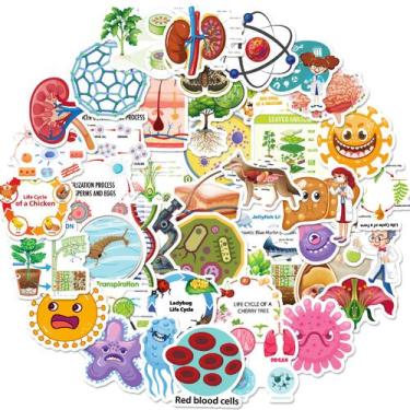 Imagem de Adesivos Biology Cute Cartoon Animal & Plant Life Cycle x50 - Yiweisai