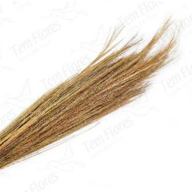 Imagem de Capim Fio De Ouro - Amarelo - Pense Flores
