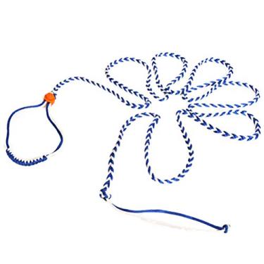 Imagem de Arnês para animais de estimação, rato, rato, rato, hamster, gaiola, gaiola, coleira ajustável, cordão ajustável, rato, hamster, suprimentos para animais de estimação (2 metros) - cor