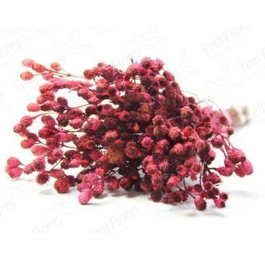 Imagem de Ramo Roxo Rosa Flor Desidratada Buque Flores Secas - Tem Flores