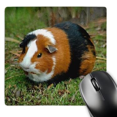 Imagem de 3dRose Mouse pad LLC 20 x 20 x 0,63 cm, porquinho-da-índia (mp_4249_1)