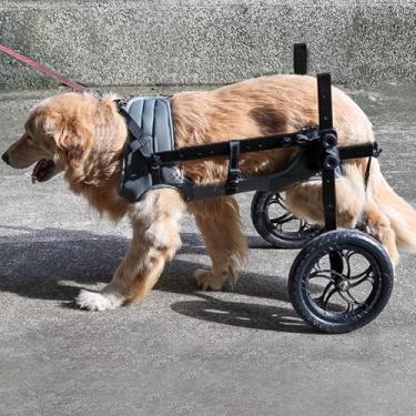 Imagem de Cadeira de rodas ajustável de 2 rodas para cães pequenos a grandes, andador de recuperação de animais de estimação de alumínio com arnês confortável, carrinho de mobilidade para gatos (tamanho M)
