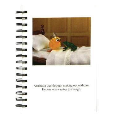 Imagem de C.R. Gibson Bitter With Baggage Anastasia Spiral Journal (GM93-9055)