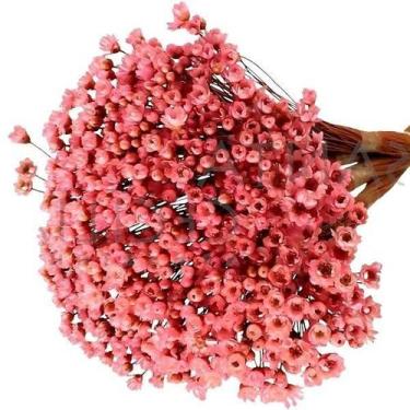 Imagem de 300 Sempre Viva Florzinha I Flores Desidratadas - Decoração Enfeite Se