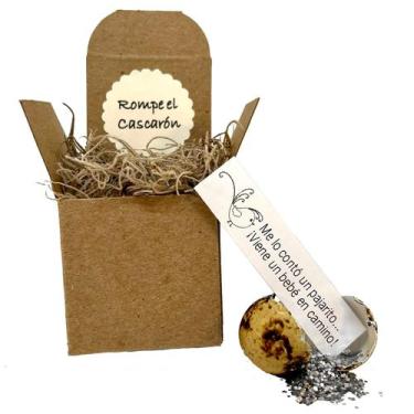 Imagem de Surpresa! Revelação de ovo de codorna boutique Quail Garden para gravi