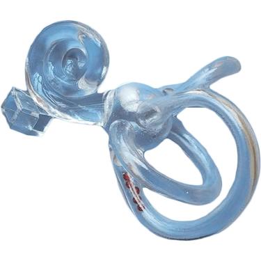 Imagem de 1 par, modelo de canal semicircular - modelo de ensino de otolitosis - modelo de reabilitação vestibular coclear para a ferramenta de ensino de exibição de estudo, à direita, 20cm
