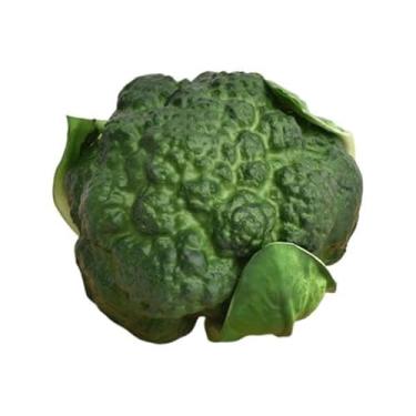 Imagem de Ｂｅｓｇａ Vegetal artificial, acessório fotográfico, modelo de simulação de vegetal brócolis, realista para supermercado, Brócolis Verde