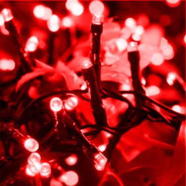 Imagem de 10 Metros De Led Pisca Cordão Com 100 Lampadas Formato Gota Fio Preto Vermelho