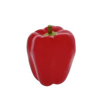Imagem de Pimentão Vermelho Artificial - Grillo