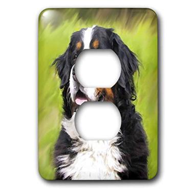 Imagem de 3dRose Tampa de tomada com 2 plugues para cães da montanha Bernese Lsp_4402_6