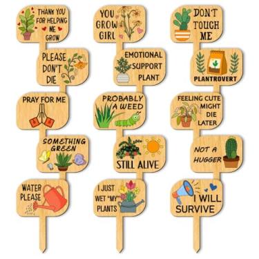 Imagem de arricraft 15 peças de etiquetas de plantas tipo T de madeira, placa gráfica ilustrada para inclinação, etiquetas de plantas para marcadores de jardim, etiqueta de mudas de vegetais, placa de planta,