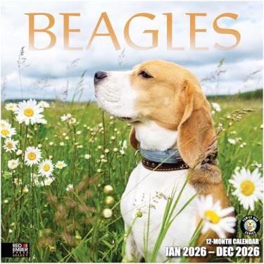 Imagem de RED EMBER Select - Calendário de parede Beagles 2026 12 meses | Abertura de 30,5 cm x 61 cm | Papel grosso e resistente | Presente | Calendário 2026